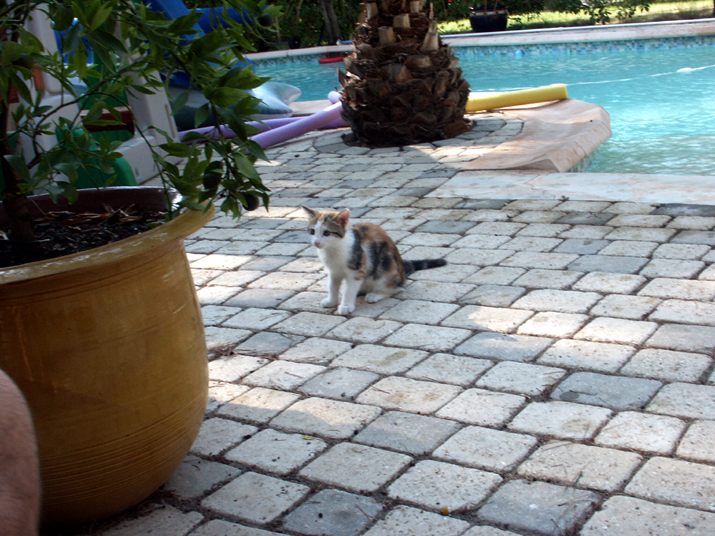 Caramel 07-05 047.jpg - DCF 1.0